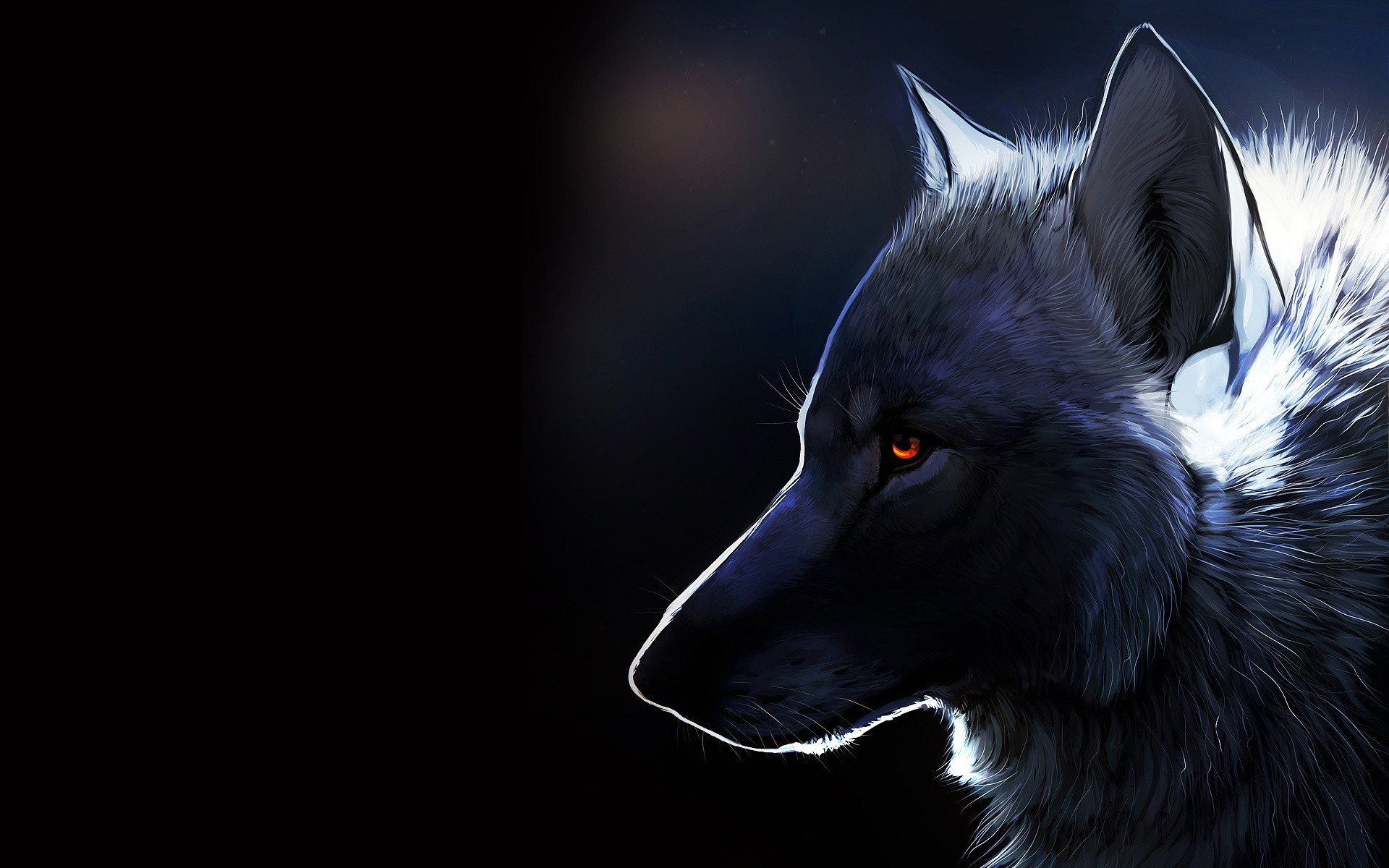 Wallpaper's Collection: «Wolf Wallpapers»