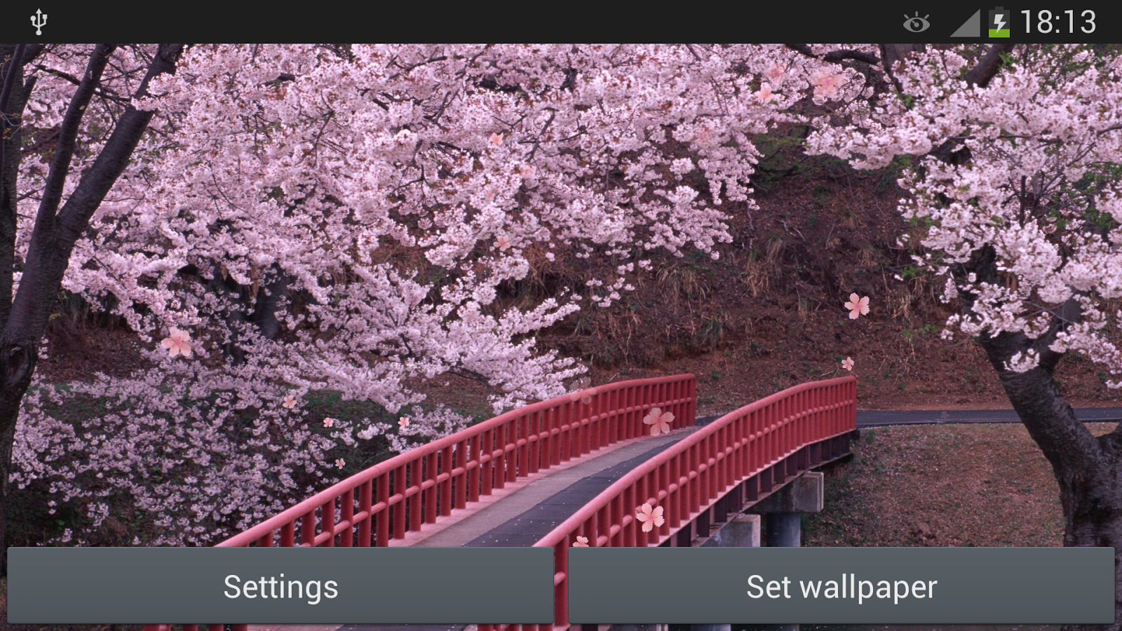 Awesome Sakura Images Collection: Sakura Wallpapers